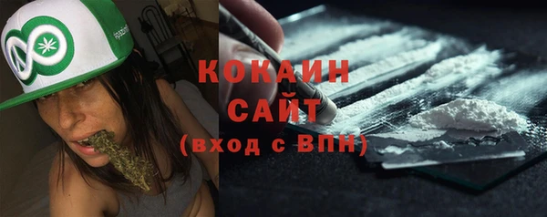 шишки Ладушкин