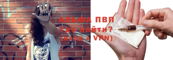 шишки Ладушкин