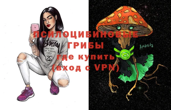 apvp Лабытнанги