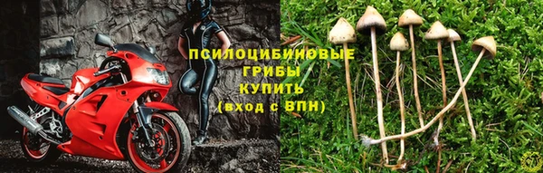 apvp Лабытнанги