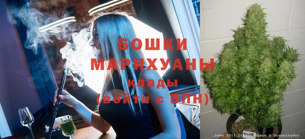шишки Ладушкин