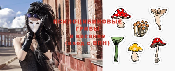 герыч Лагань