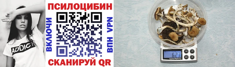 Купить где  Рыльск  Псилоцибиновые грибы мухоморы 